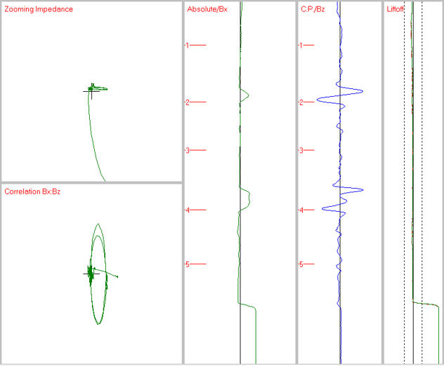 Lizard Software Interface